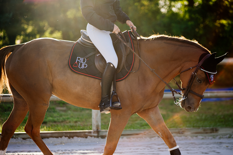 Textile Cavaliers - Chevaux