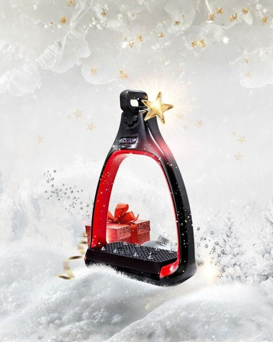 🎄 Offre Spéciale Noël 🎄