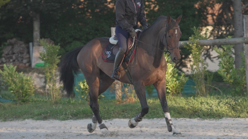 Load and play video in Gallery viewer, Rid'Up "PLUS" CLASSIC Stirrups
